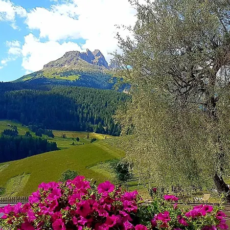 Ciasa Alpina Relax 2* 모에나